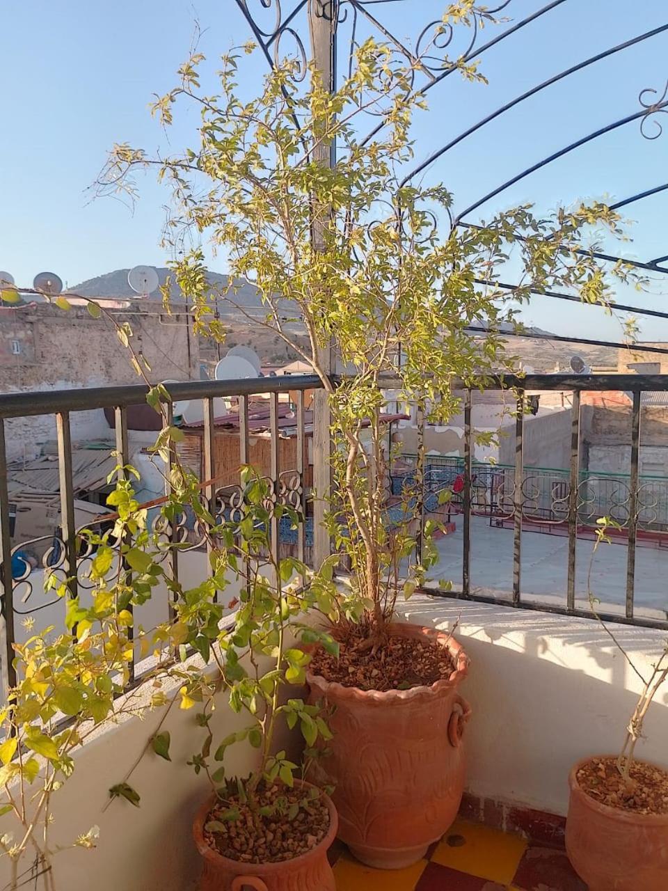 Riad Drissia Panoramic Fes Exterior photo